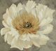 Stylecraft Blooming In Neutral Beige Wall Art-1