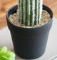 A & B Home Green Artificial Saguaro Cactus in Black Pot-2