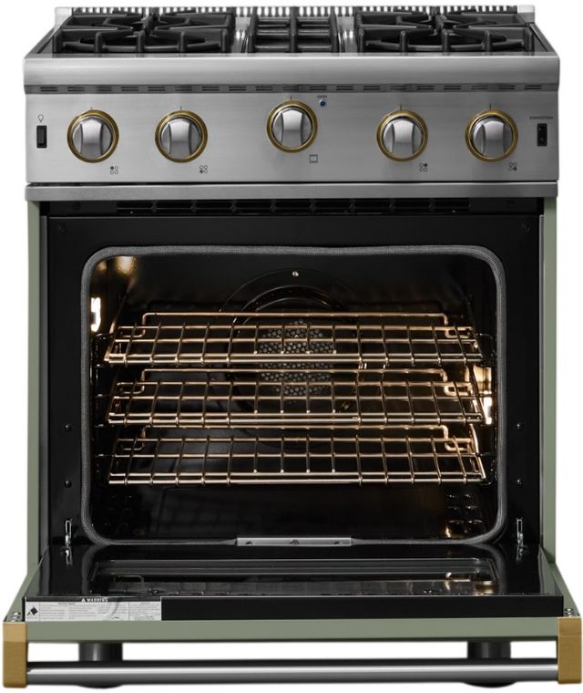 Viking® 5 Series 30" Eucalyptus Liquid Propane Pro Style Gas Range-1