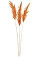 A & B Home Red/Orange Dried Natural Pampas Grass Bundle-0