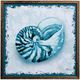 StyleCraft Perth Shells II Blue/White Wall Art-0