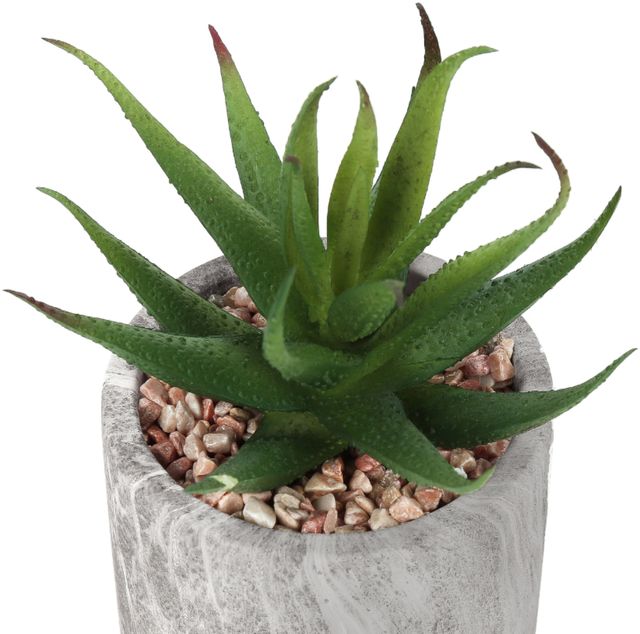 Monarch Specialties Inc. 2-Piece Grey 6" Tall Artificial Potted Succulent-1