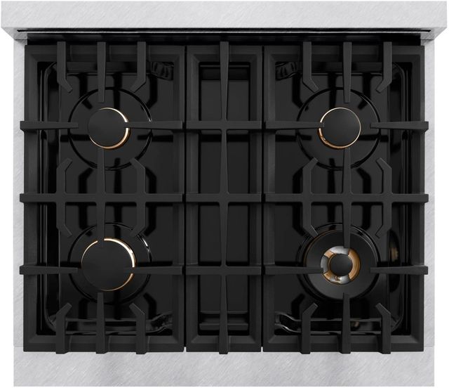 ZLINE Classic Autograph Edition 30" Satin Stainless Steel Pro Style Dual Fuel Range with Champagne Bronze Accents-3