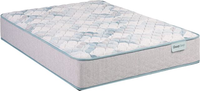 BeautySleep® Dream Weaver™ 11.5" Pocketed Coil Firm Tight Top Queen Mattress-0