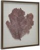 A & B Home Bronze Wall Decor-0