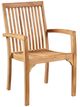 Dovetail Furniture Ashdown Natural Teak Wood Outdoor Dining Arm Chair-0