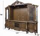 ACME Furniture Latisha Antique Oak Entertainment Center-2