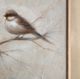 Crestview Collection Feathered Friends Wall Art-2