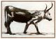Classic Home Horn Painting by Buddy Whitlock-0
