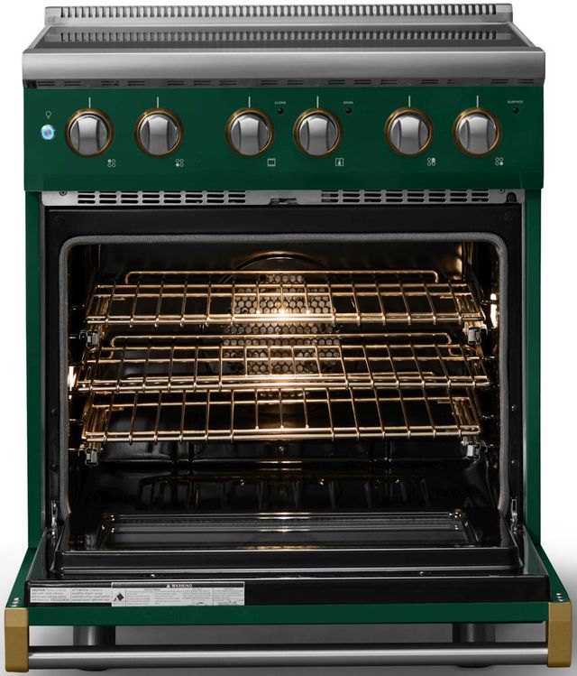 Viking® 5 Series 30" Ivy Pro Style Electric Range with Brushed Brass Trim-1