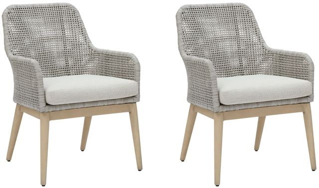 Signature Design by Ashley® Seton Creek 2-Piece Gray Aluminum/Resin Outdoor Dining Arm Chair-0