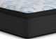 Ashley Sleep® Elite Springs 14" Wrapped Coil Plush Euro Top Twin Mattress in a Box-1