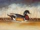 Stylecraft Wood Duck Wall Art-2