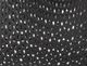 Cal® Lighting & Accessories Dark Bronze Lighting Shade-1