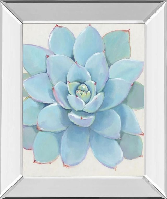 Classy Art Pastel Succulent I by Tim OToole Mirror Framed Wall Art-0