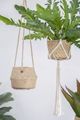 A & B Home Green Un-Real Fern Leaves Bush-4