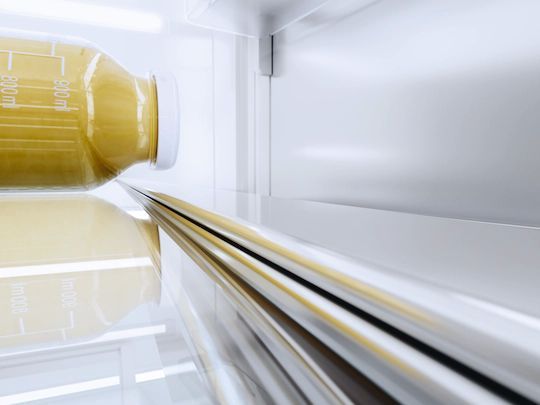 Miele MasterCool™ 30 in. 16.0 Cu. Ft. Integrated Counter Depth Bottom Freezer Refrigerator-4