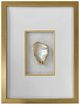 Crestview Collection Golden Oysters 3-Piece Wall Art Set-2