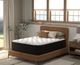 American Bedding™ Ultimate Luxury Ballard 16" Latex Plush Tight Top Queen Mattress-5