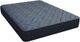 Southerland™ American Sleep Aspen 9.5” Innerspring Firm Tight Top Twin XL Mattress-0