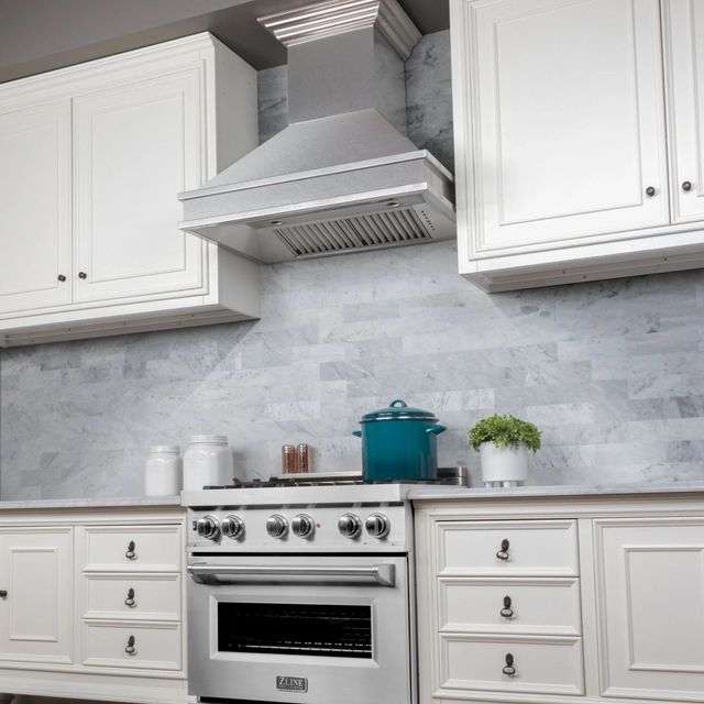 ZLINE Designer Series 48" Satin Stainless Steel Outdoor Wall Mounted Range Hood-2