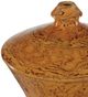 Currey & Company Romulus 5-Piece Brown/Yellow Vase Set-2