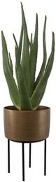 Uttermost® Arabia Antique Brass/Green/Matte Black Aloe Planter-0