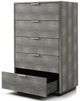 VIG Furniture Modrest Dynasty Dark Shagreen/Stainless Steel Chest-2