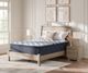 Sierra Sleep® by Ashley® Luxe 2.0 Innerspring 15" Plush Euro Top Queen Mattress in a Box-4