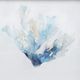 Stylecraft Blue Coral Reef II Blue/Gray/White/ Wall Art-1