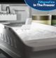 GE® 33" 24.8 Cu. Ft. Fingerprint Resistant Stainless Steel Bottom Freezer Refrigerator-4