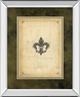 Classy Living Alexey Paviuts Fleur Di Lies I Mirror Framed Wall Art-0