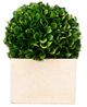 A & B Home Green Medium Faux Boxwood Boxed Topiary-0