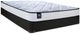 Sealy® Essentials Alfie 8" Foam Medium Tight Top Queen Mattress-2
