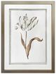 Crestview Collection Gilded Botanicals 4-Piece Wall Art Set-3