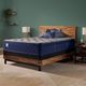 Sealy® Golden Spirit 14.5" Gel Memory Foam Soft Tight Top Split King Mattress, Must Order Two for a Set-2