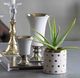 A & B Home Gold Navya Dots Planter-3