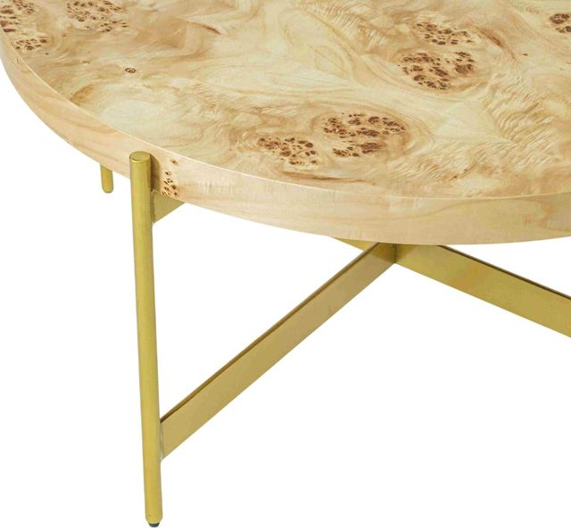 LR Home Brown Coffee Table with Gold Base-2