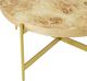 LR Home Brown Coffee Table with Gold Base-2