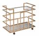 VIG Furniture Modrest Rosegold Wine Rack-0