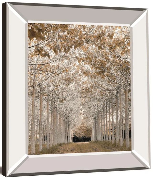 Classy Art White Gold by Assaf Frank Mirror Framed Wall Art-1