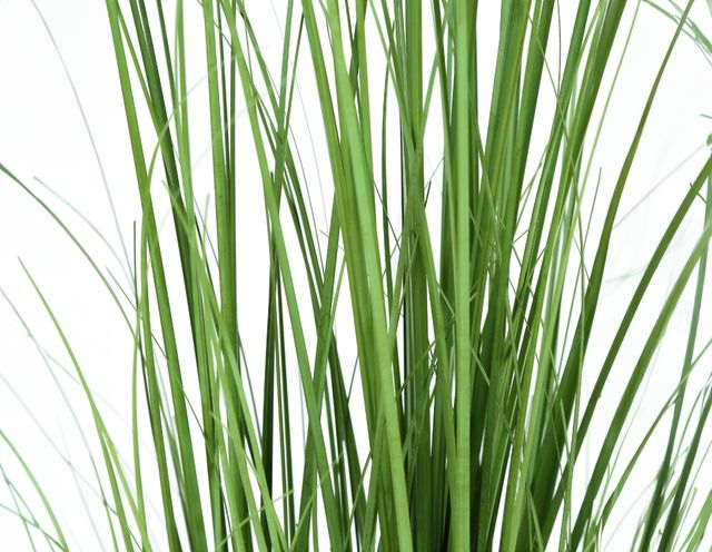 Monarch Specialties Inc. Black 47" Artificial Potted Grass Tree-2