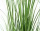 Monarch Specialties Inc. Black 47" Artificial Potted Grass Tree-2