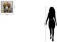 Classy Living Untamed Chimp in Orange Shades Wall Art-2