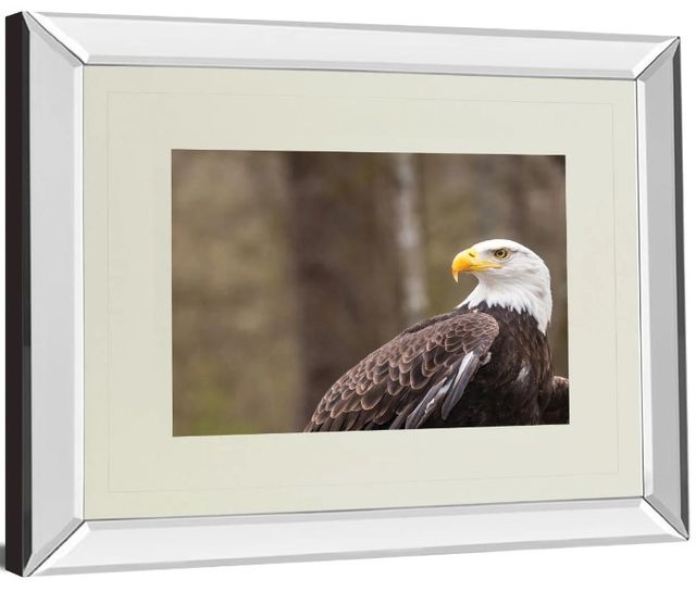 Classy Art Majestic Eagle by Garytog Mirror Framed Wall Art-1