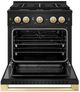 ZLINE Marino 30" Black Stainless Steel Pro Style Gas Range with Polished Gold Accents-1