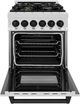 ZLINE Autograph Edition 24" Satin Stainless Steel Pro Style Dual Fuel Range-1