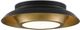 Currey & Company Metaphor Antique Brass/Black Flush Mount Lighting-0