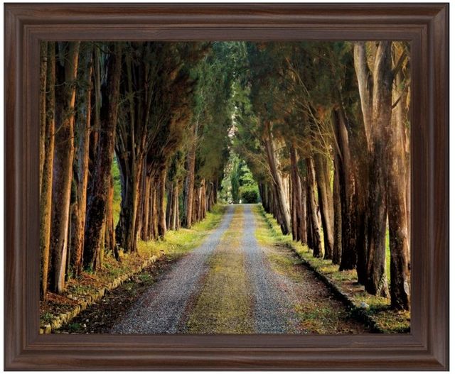 Classy Living Woodland Passage Wall Art-0