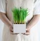 A & B Home Green Artificial Grass Blades-3